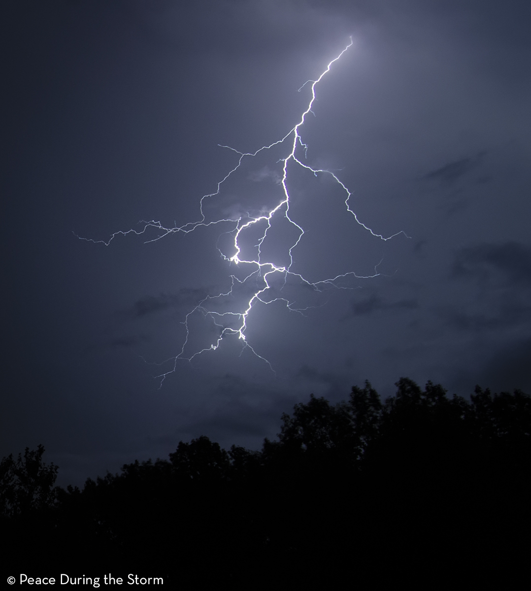 Lightning over trees