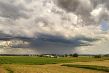 Afternoon Rain Shower