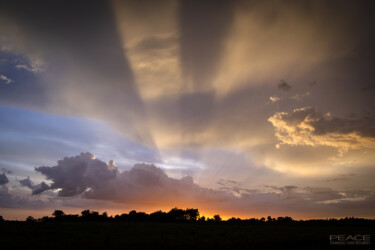 Perfect Sunset