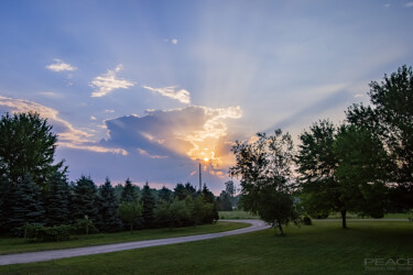Morning rays