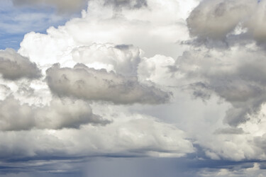 Towering Rain Shower