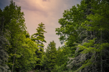 A hike cut short